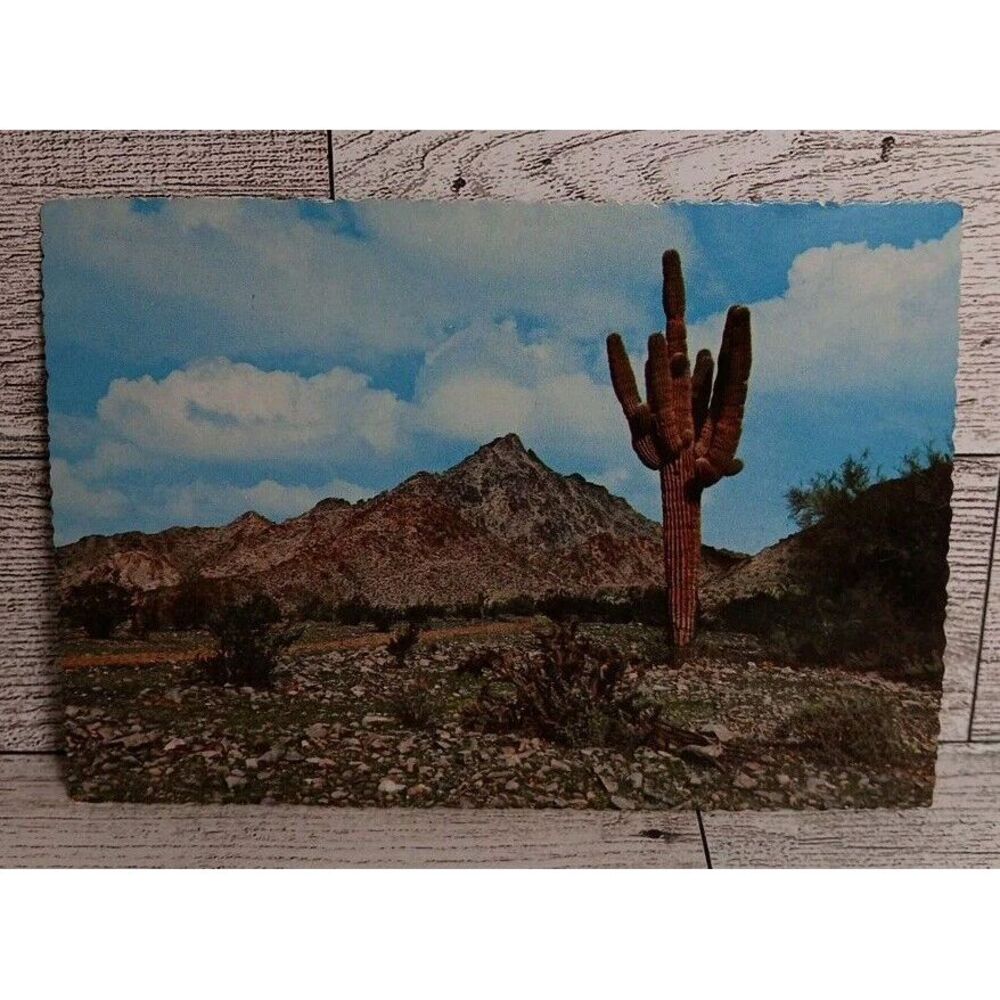 VTG Postcard‎ Squaw Peak Phoenix Arizona Travel Ephemera Memorabilia Souvenir